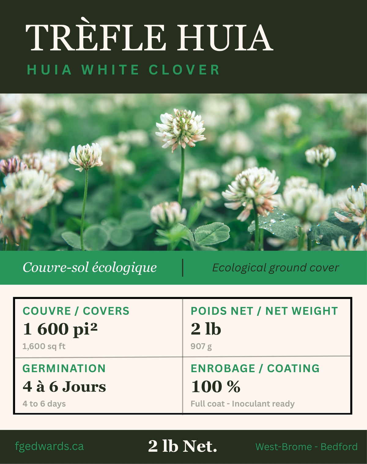 Semences de Trèfle blanc Huia - F.G. Edwards