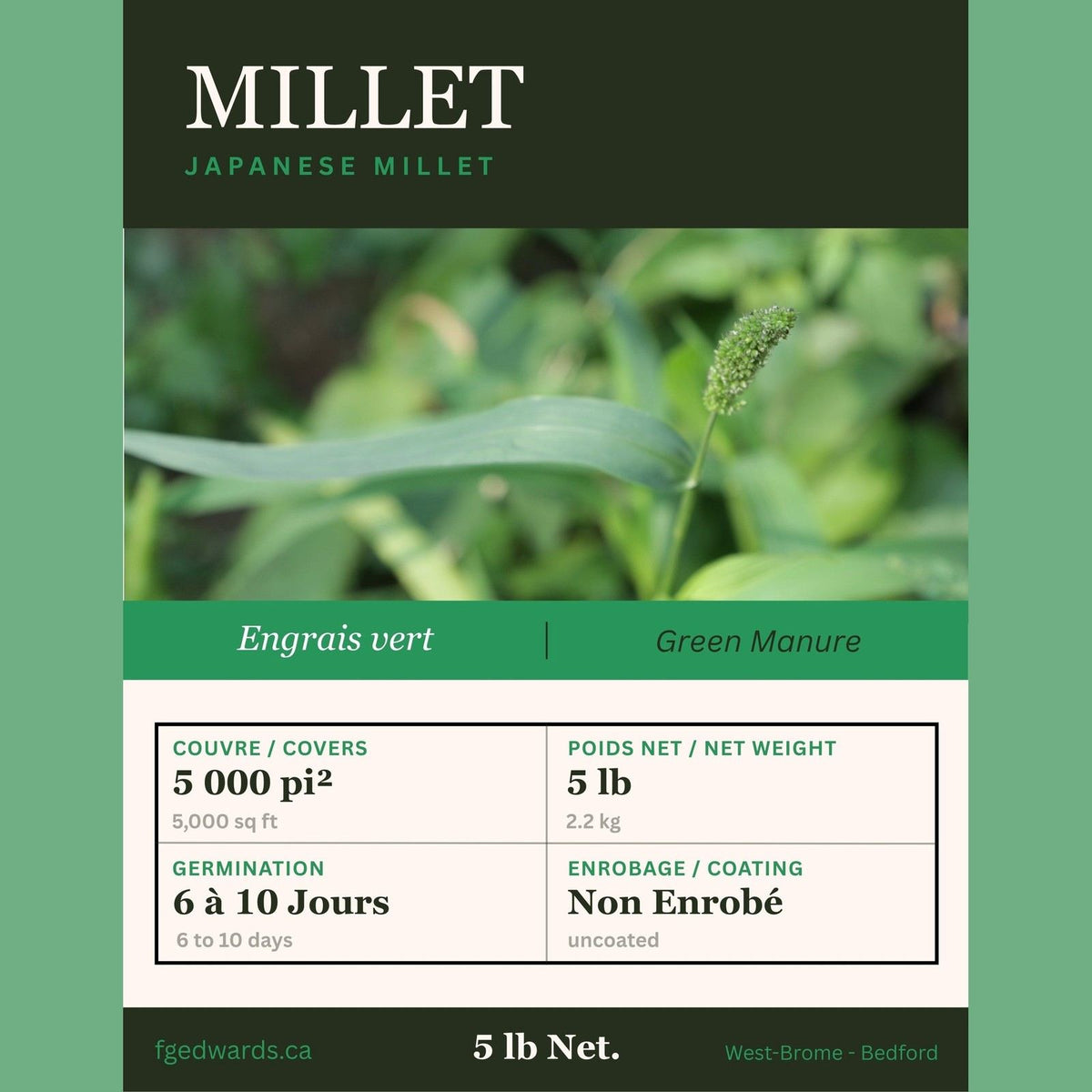 Millet Japonais (5 lb) - F.G. Edwards