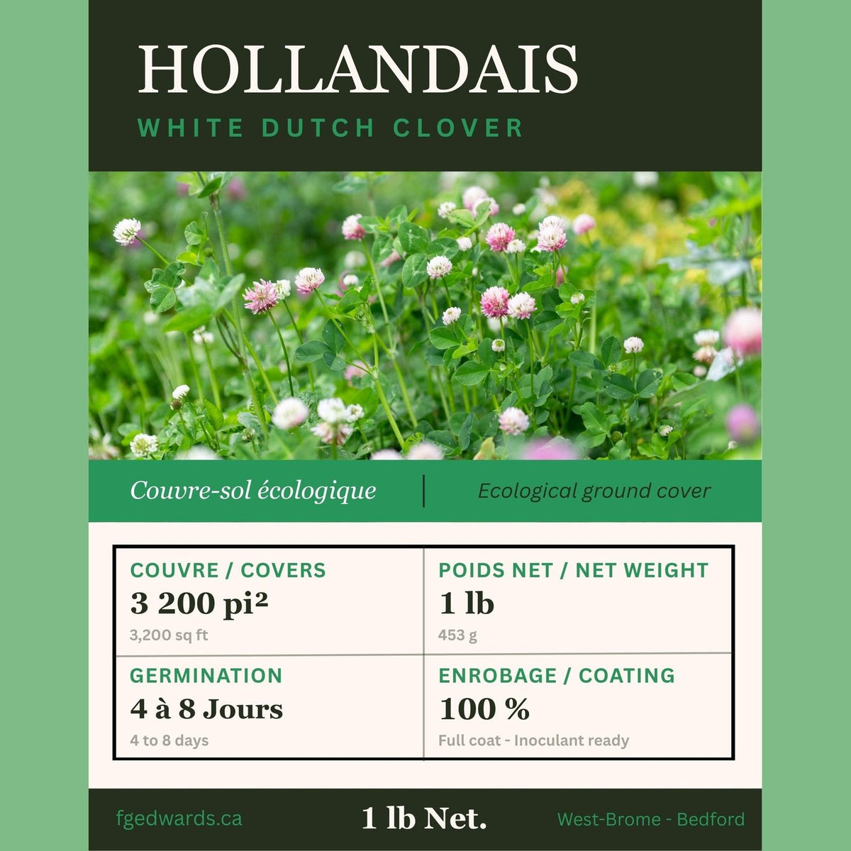 Trèfle Hollandais (1 lb) - F.G. Edwards