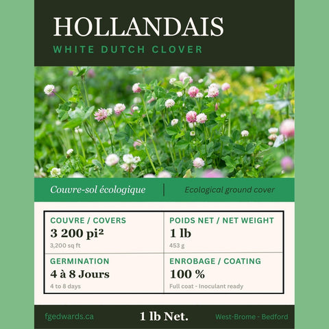 Dutch White Clover (1 lb) - F.G. Edwards