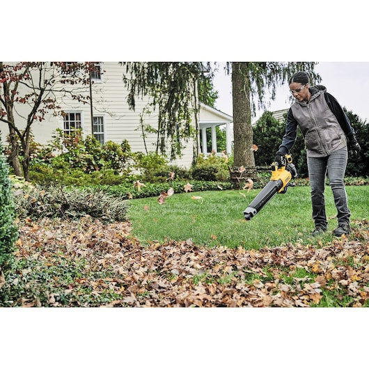 Souffleur portatif XR® à moteur sans balais 20 V MAX* (5,0 AH) - Dewalt