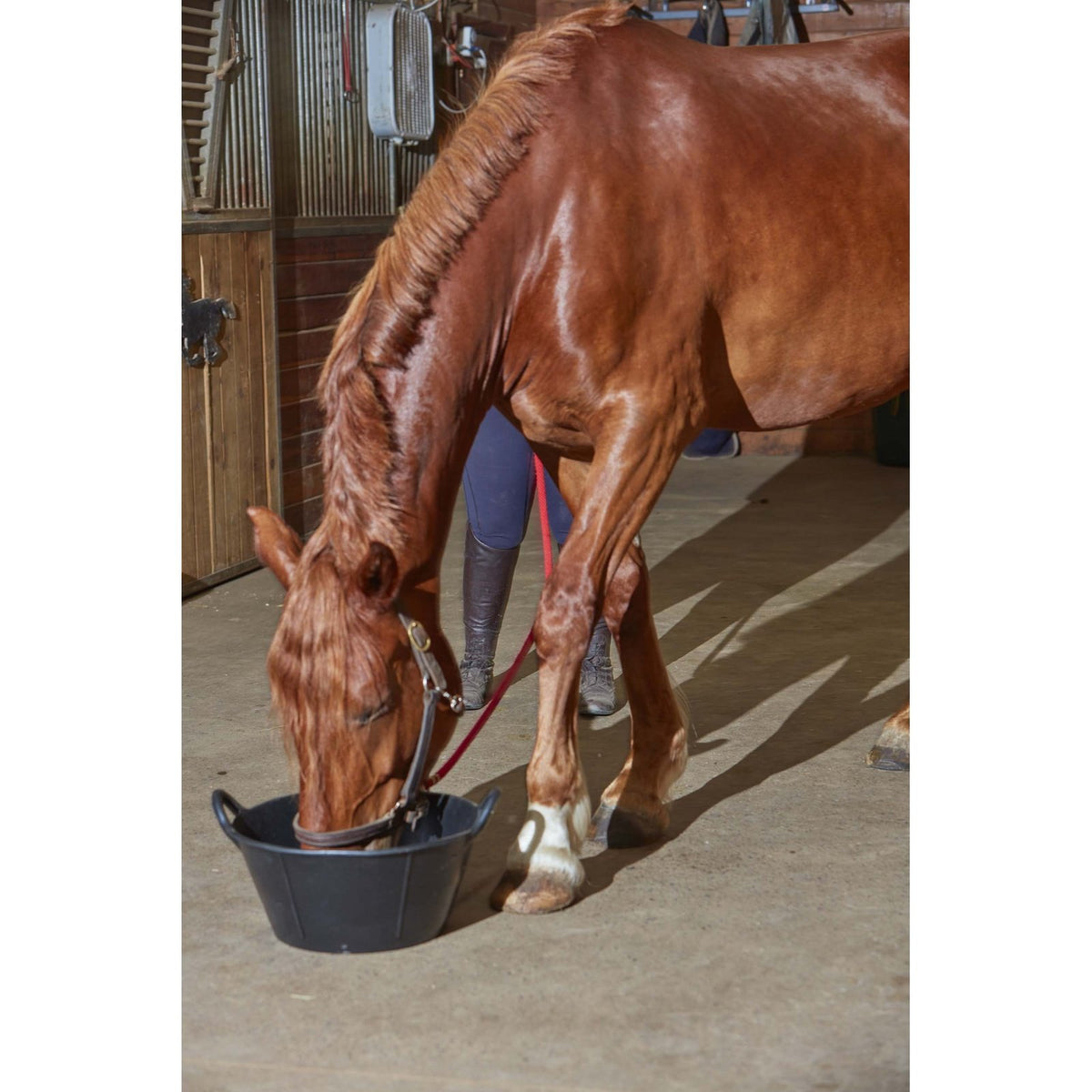 Bac en caoutchouc ultra robuste avec poignées - Little Giant