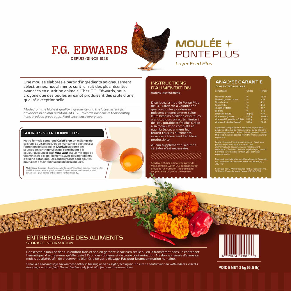 Moulée Ponte Plus format urbain - FG Edwards
