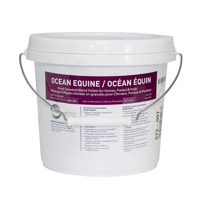 Ocean Equine 3 kg - Lozana Health