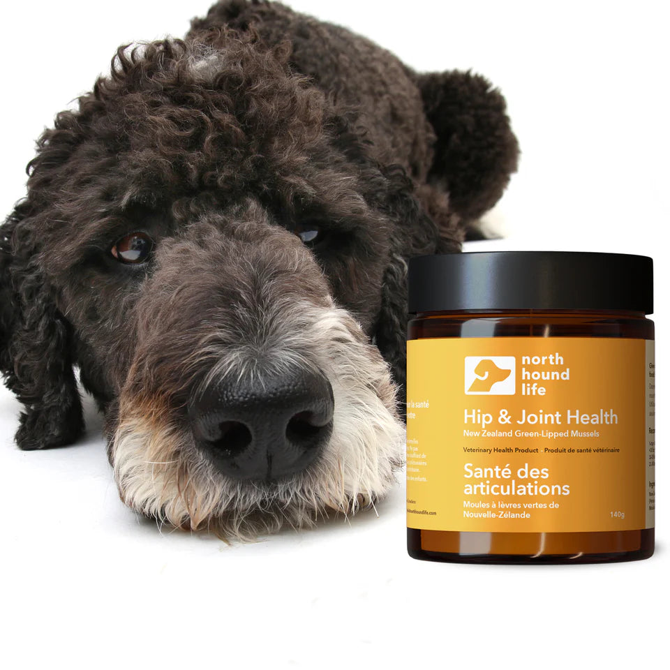 Moule à lèvre verte N.-Z., 145 g - North Hound Life