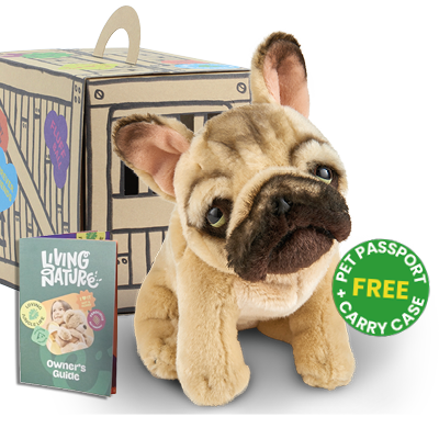 Bouledogue Français Living Nature