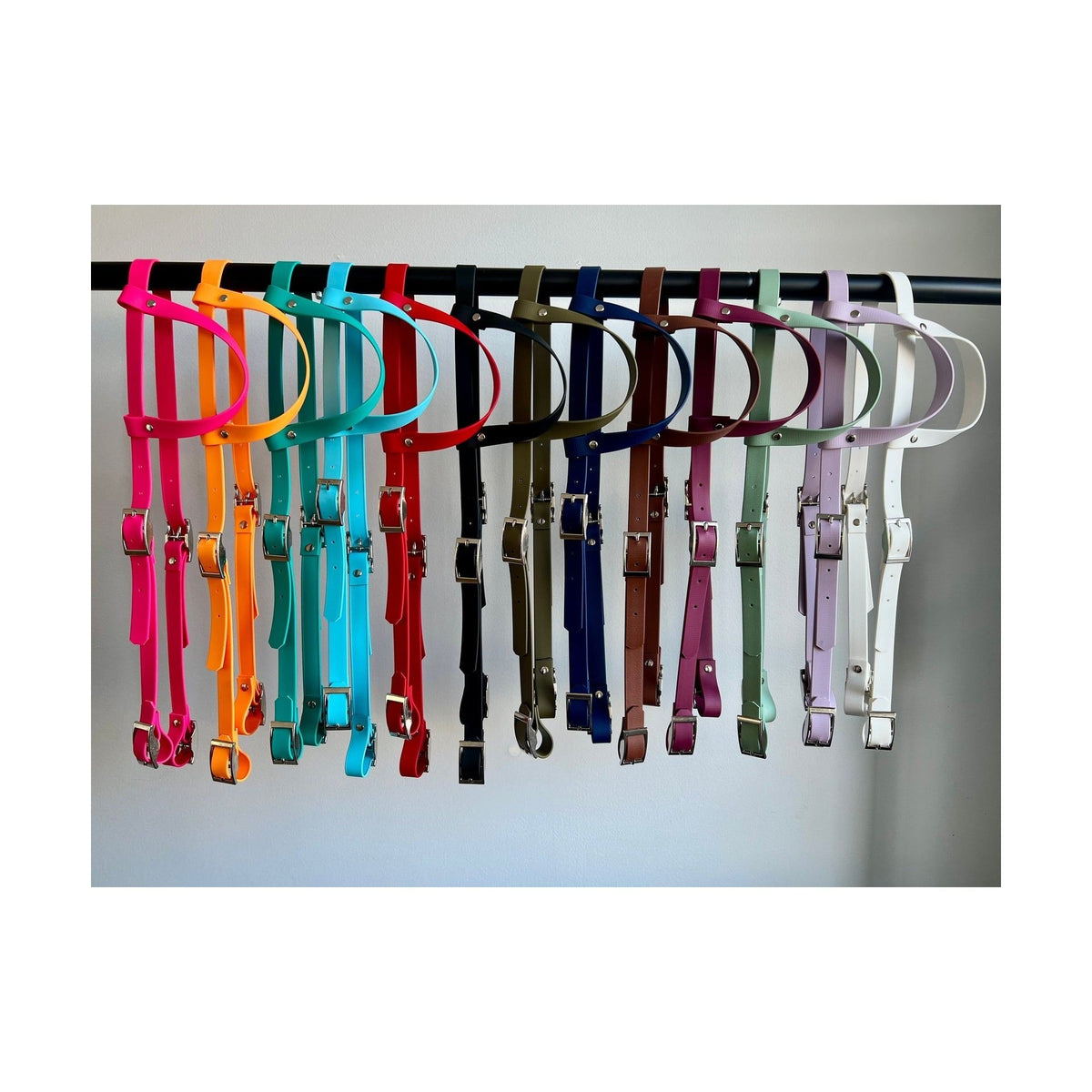 Biothane single-ear bridle – MaRivale