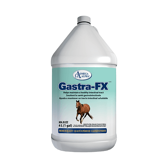 Gastra-Fx 1 L