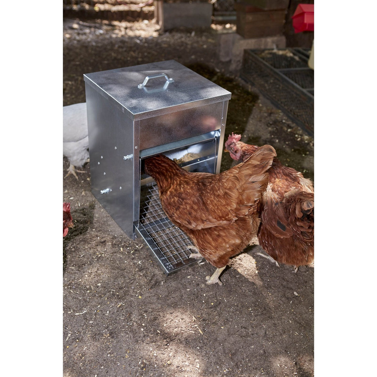 Little Giant - 22 lb. Galvanized Treadle Feeder