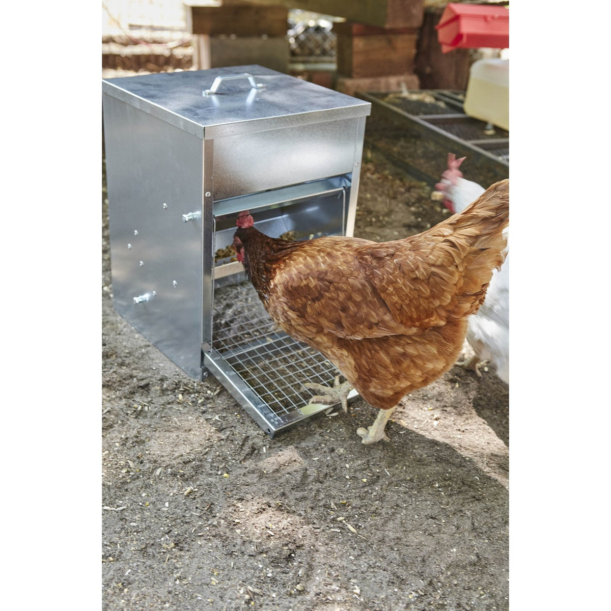 Little Giant - 22 lb. Galvanized Treadle Feeder