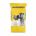 Fléole des prés (Timothy) Tenho - Barenbrug