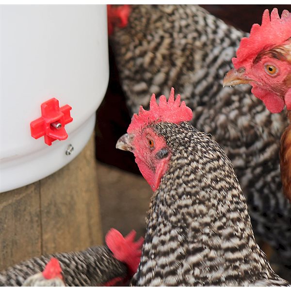 Farm Innovators - 2 Gallon Hanging Heated Poultry Drinker