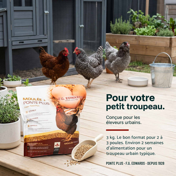 Moulée Ponte Plus format urbain - FG Edwards