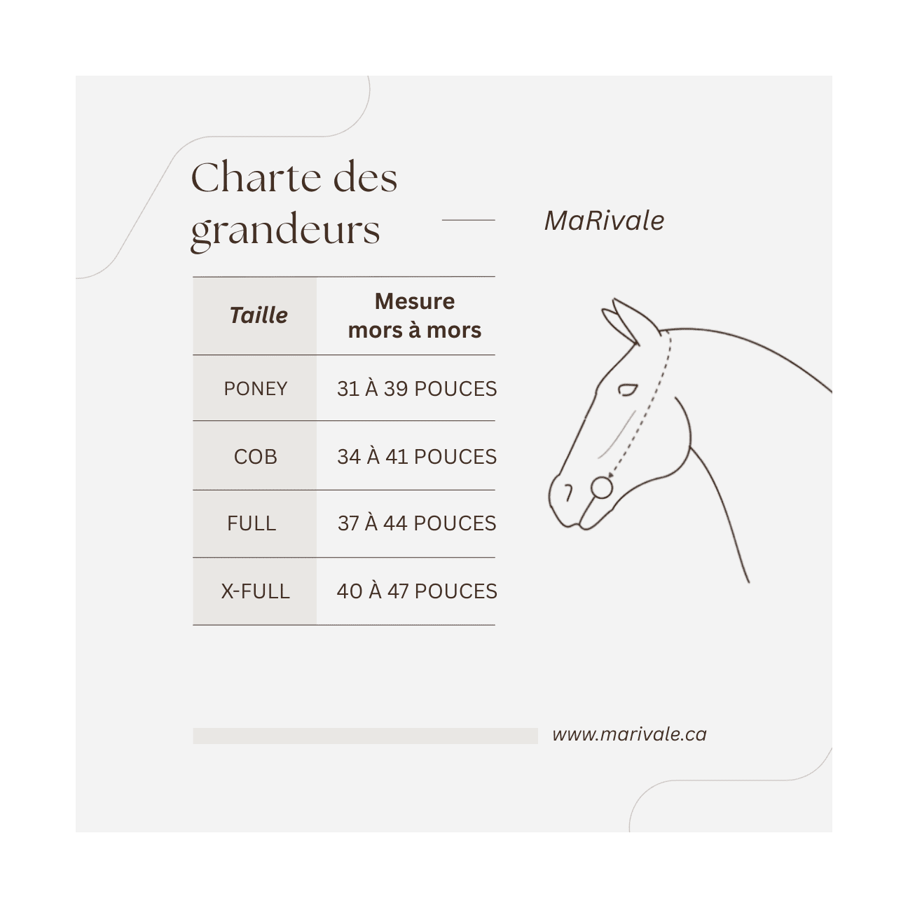 Bride à une oreille en Biothane – MaRivale