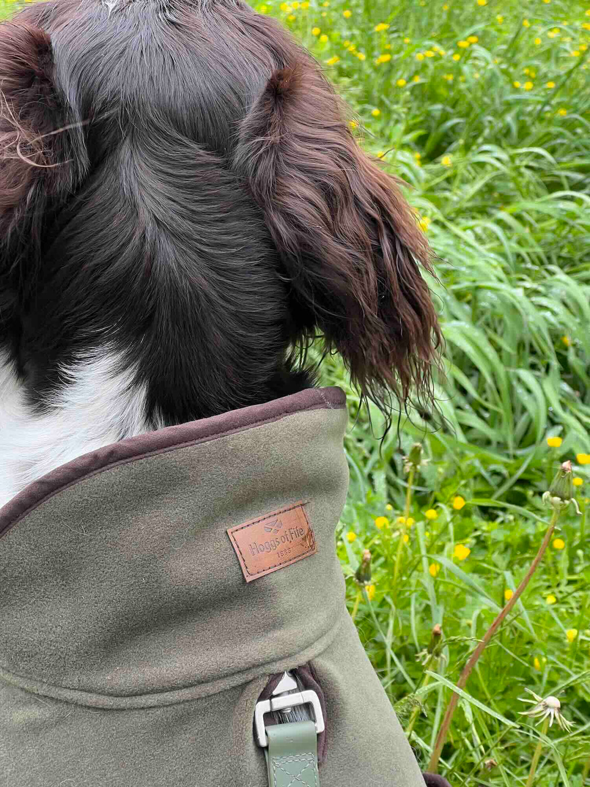 Manteau polaire pour chien Stenton - Hoggs of Fife