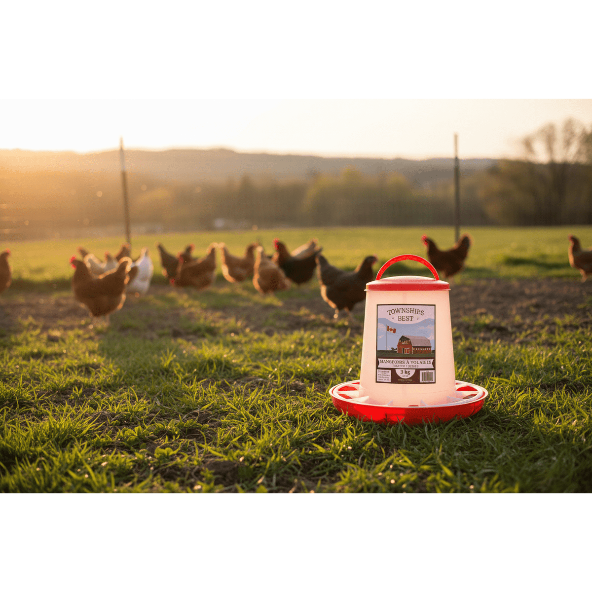 Plastic poultry feeder - Townships Best