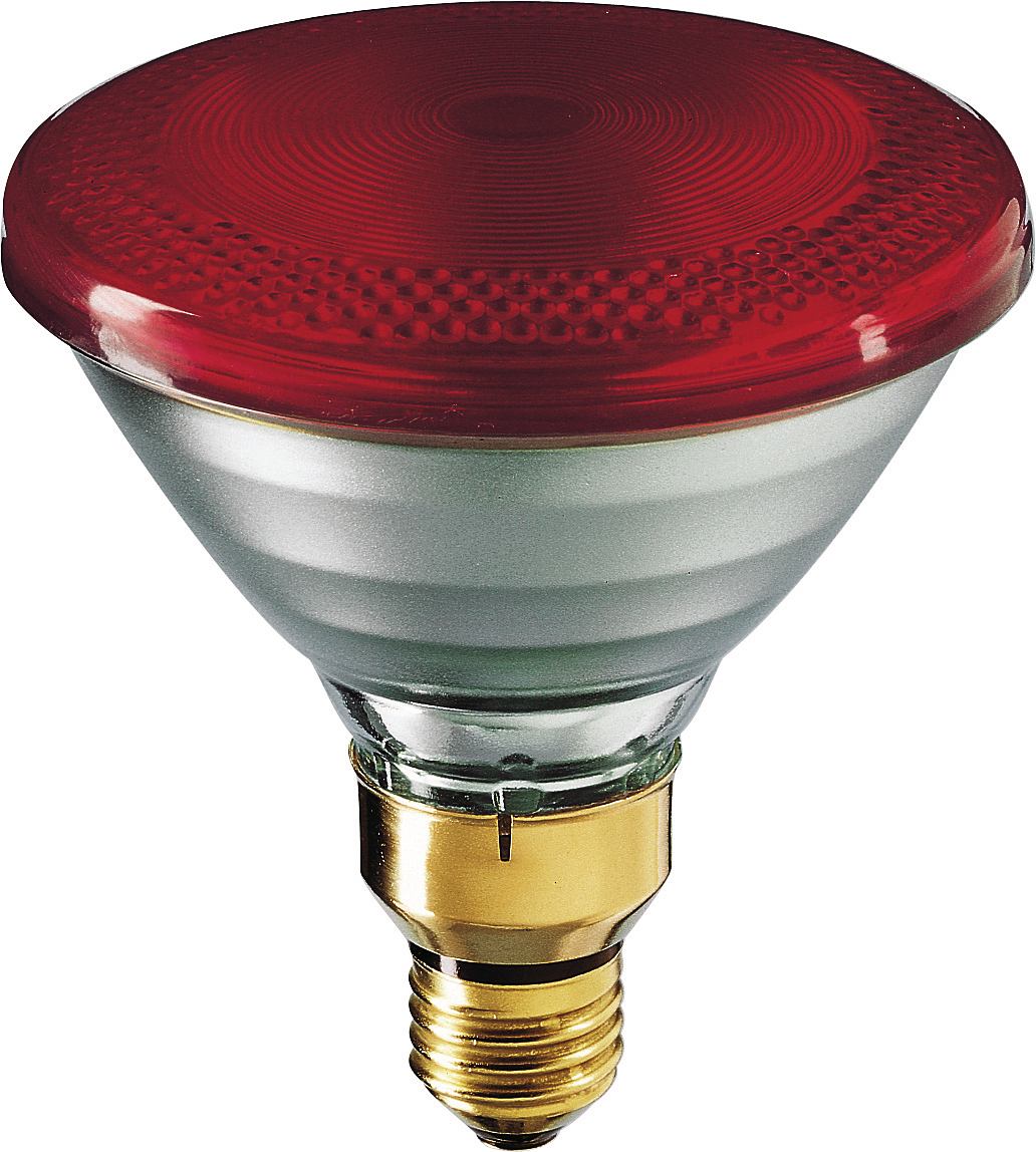 Philips - Infrared Heat Bulb, 175w 