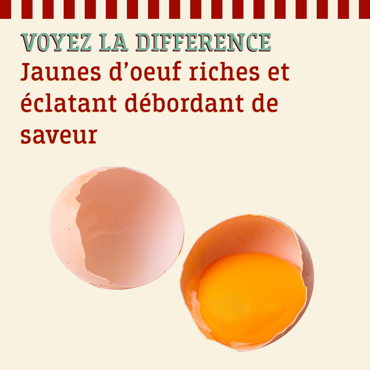 Jaunes d'oeuf riches et éclatant débordant de saveur