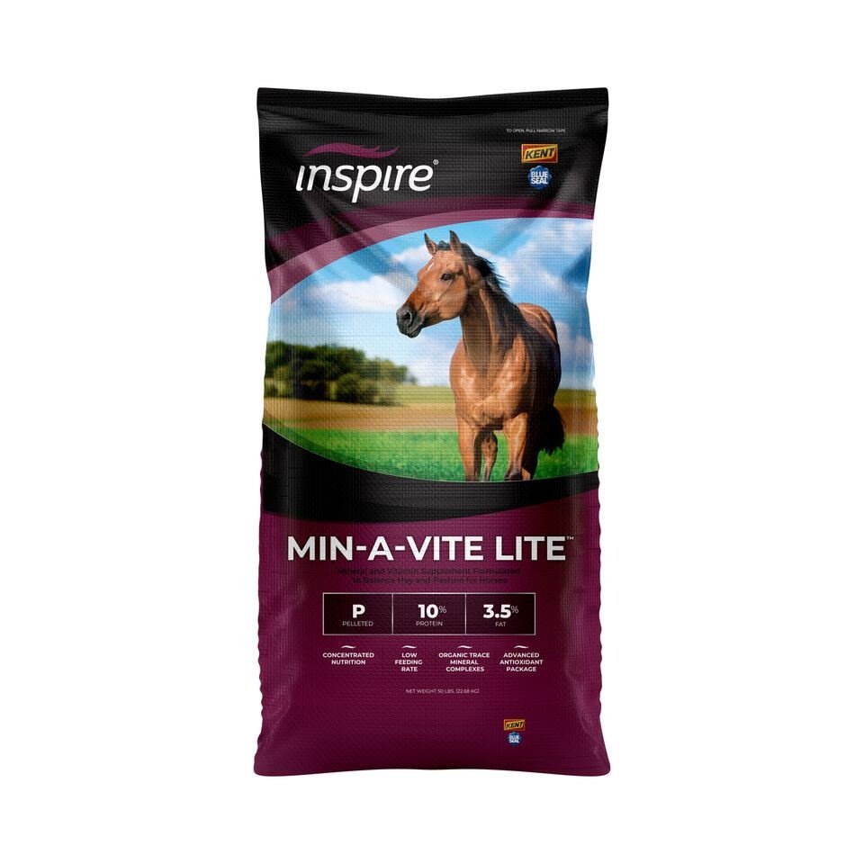 Min-A-Vite Lite - Blue Seal