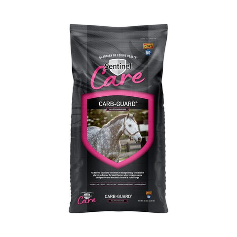 Carb-Guard - Blue Seal