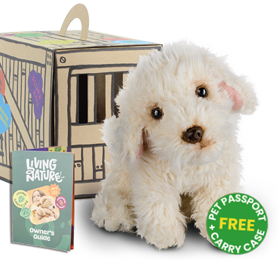 Labradoodle Living Nature