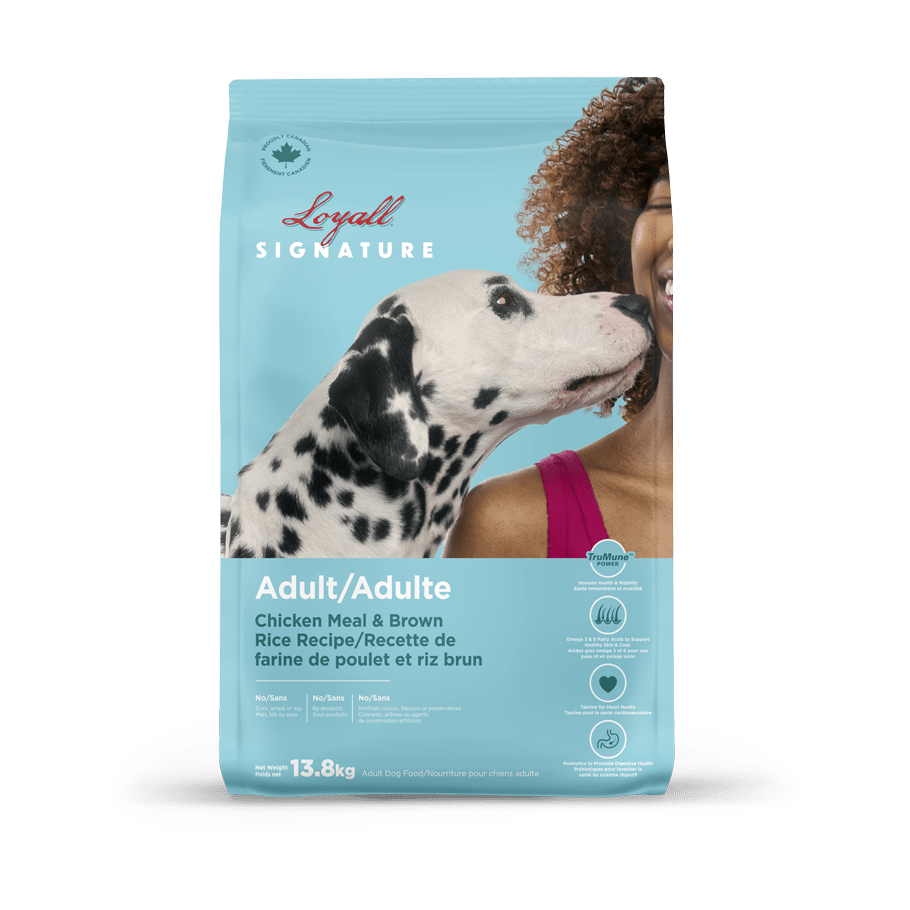 Loyall Signature - Adult Chicken & Brown Rice Recipe for Dogs, 13.8 kg
