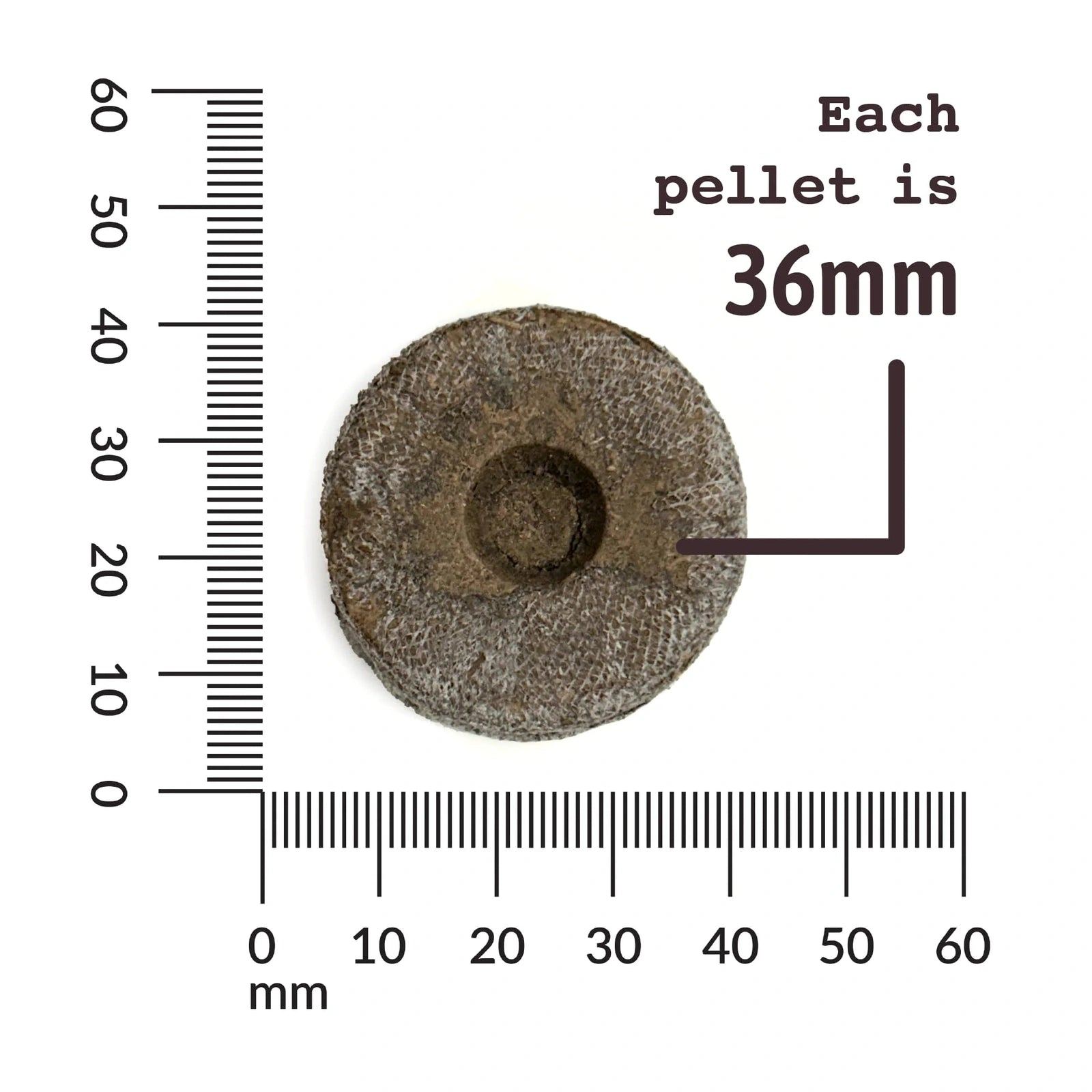 Mini-serre de semis Jiffy 70 alvéoles, pastilles 36 mm - McKenzie