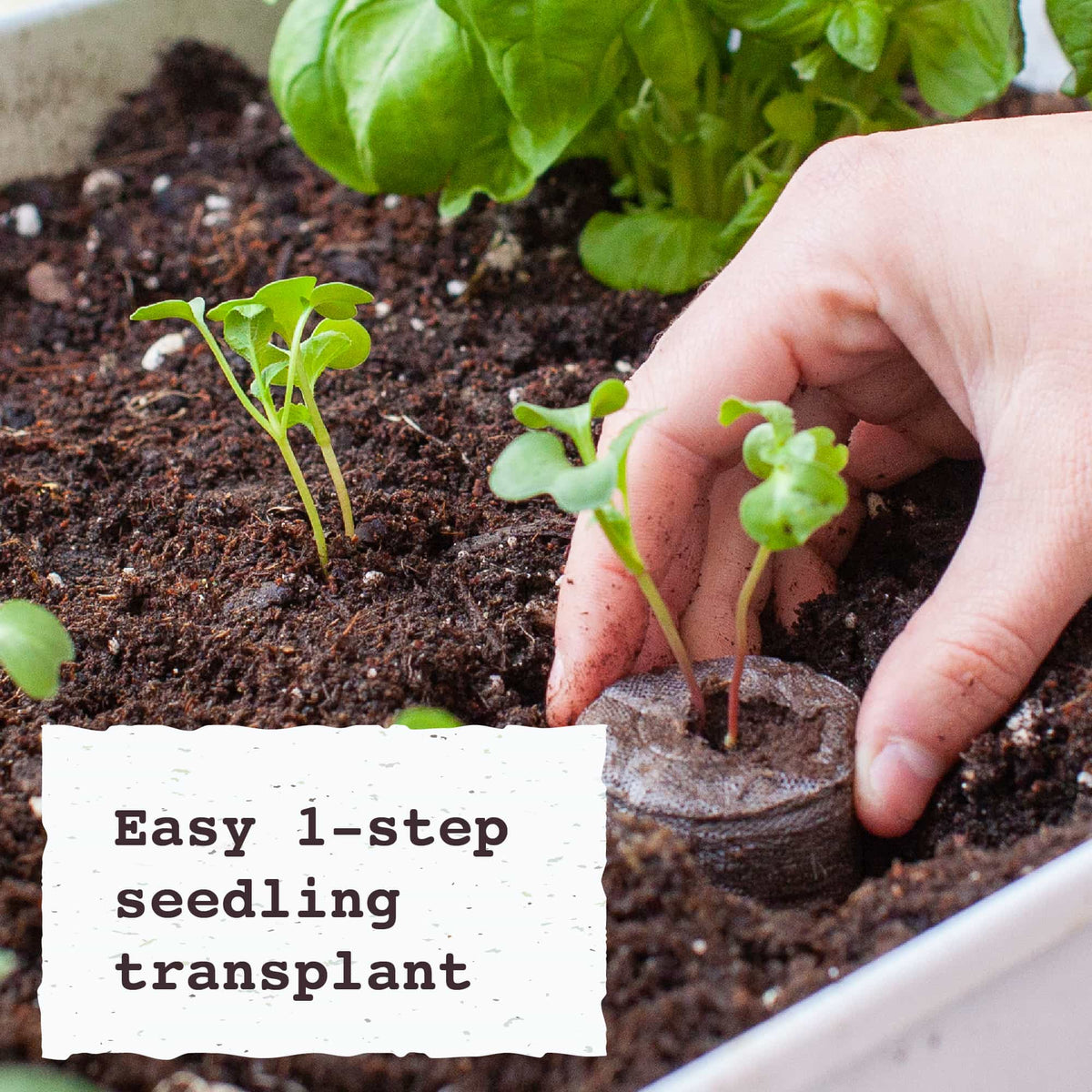 McKenzie - Jiffy 50mm Pellet Refill Pack Comes with 16 Jiffy Pellets