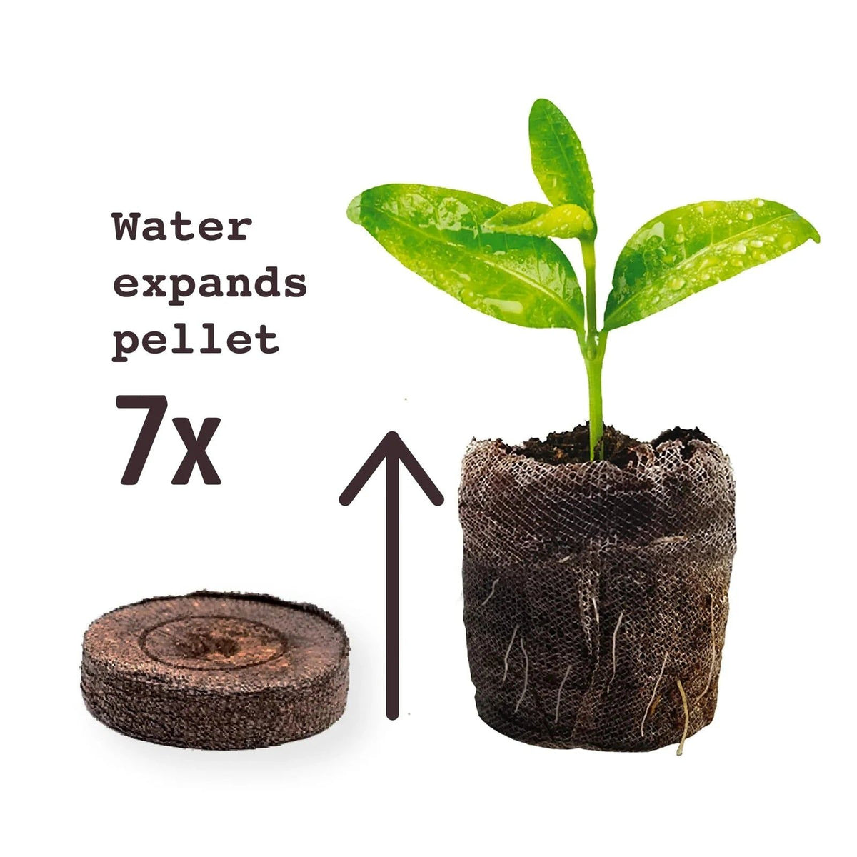 McKenzie - Jiffy 36mm Pellet Refill Pack Comes with 36 Jiffy Pellets