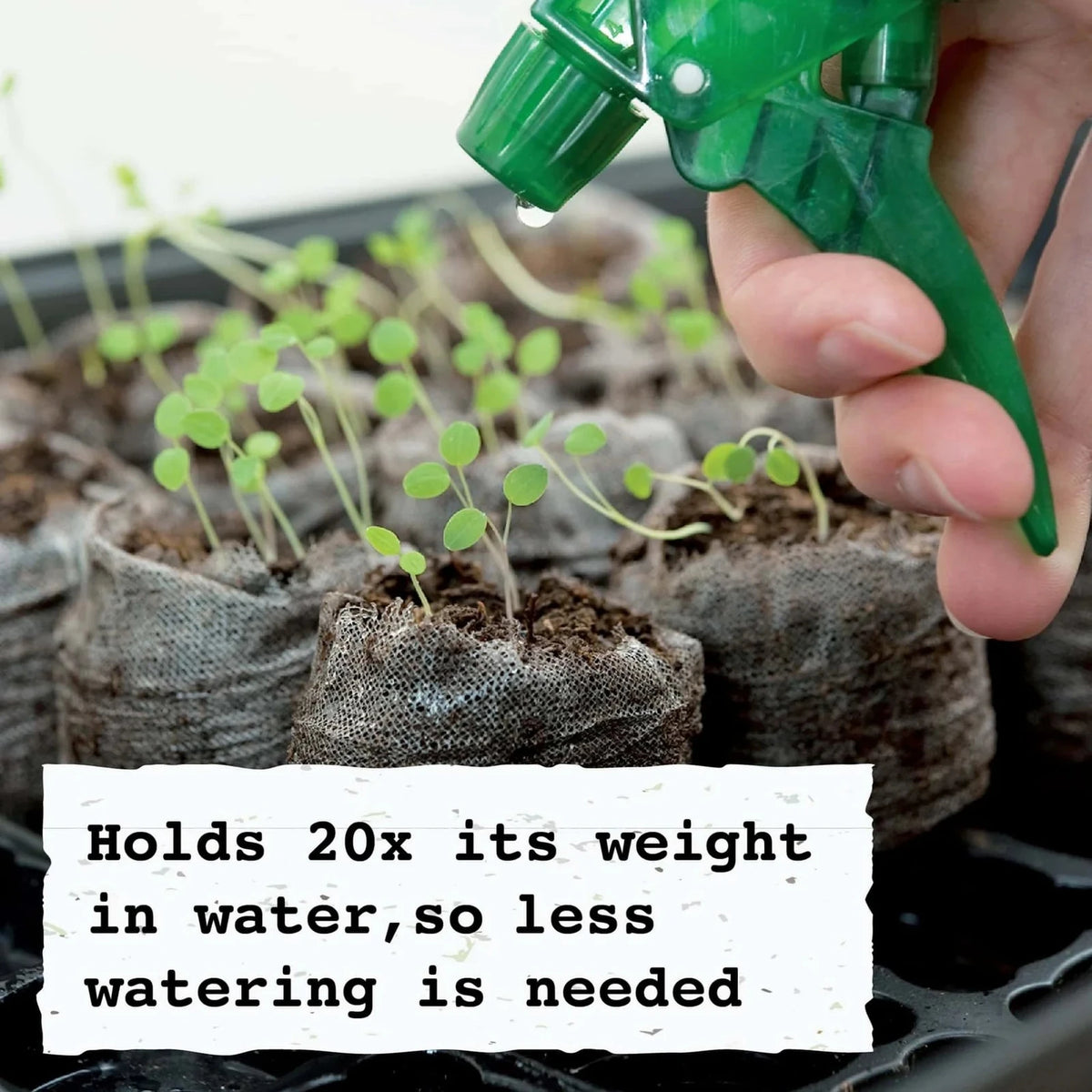 Kit de démarrage de semis, Jiffy, 36 alvéoles, pastilles de tourbe de 50 mm - McKenzie