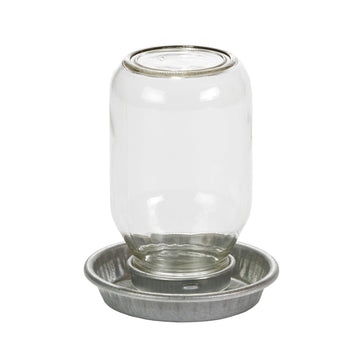 Abreuvoir pour poussin, pot Mason - Little Giant
