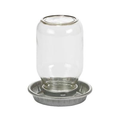 Abreuvoir pour poussin, pot Mason - Little Giant