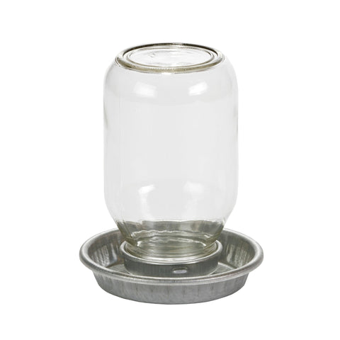 Abreuvoir pour poussin, pot Mason - Little Giant