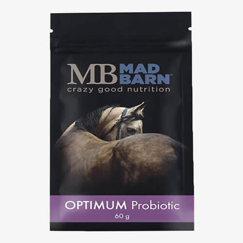 Optimum probiotique pour cheval 60G - Mad Barn