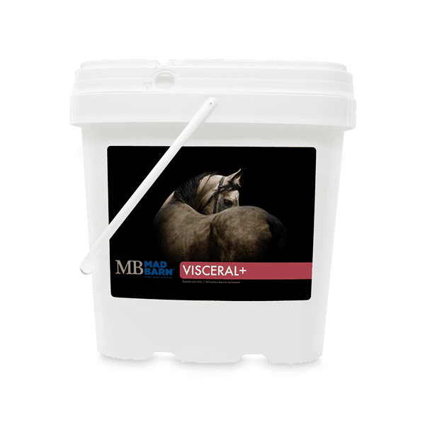 Visceral+ - Mad Barn