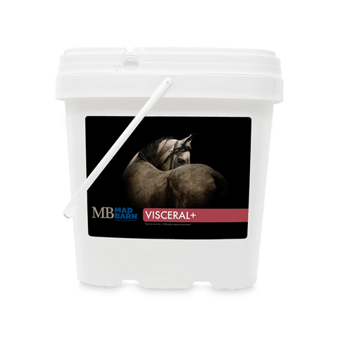 Visceral+ - Mad Barn