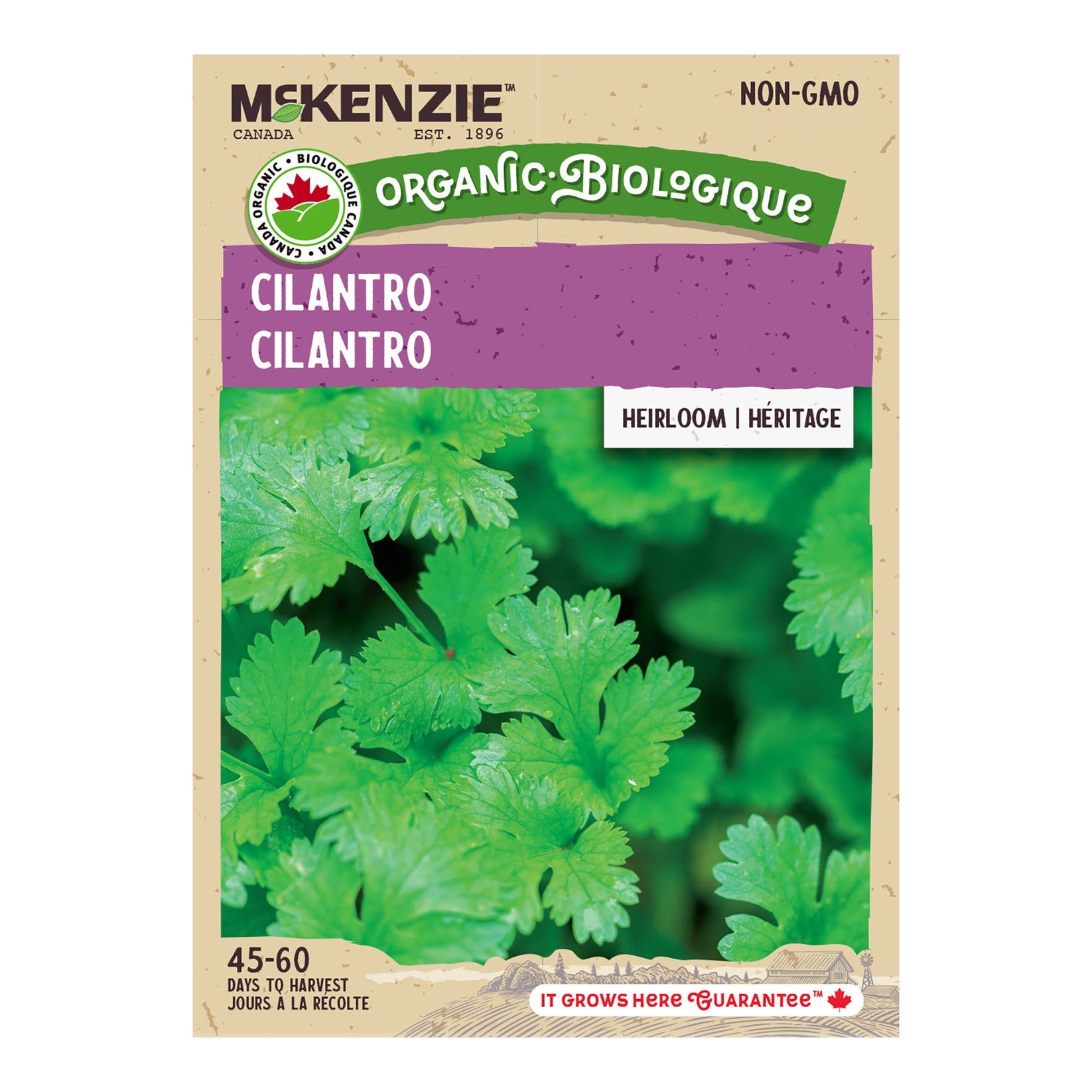 Champion Moss Curled Parsley - Organic