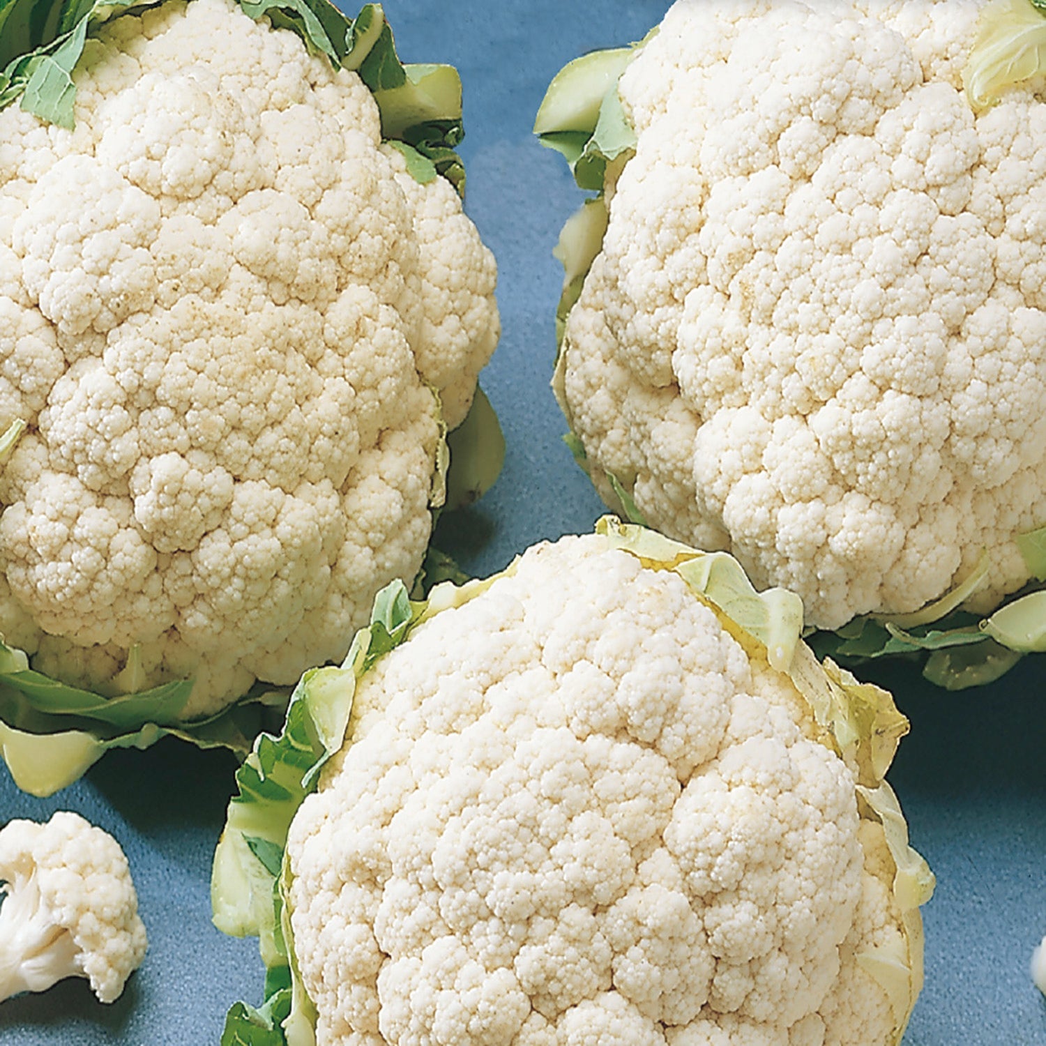 Early Snowball Cauliflower - Organic