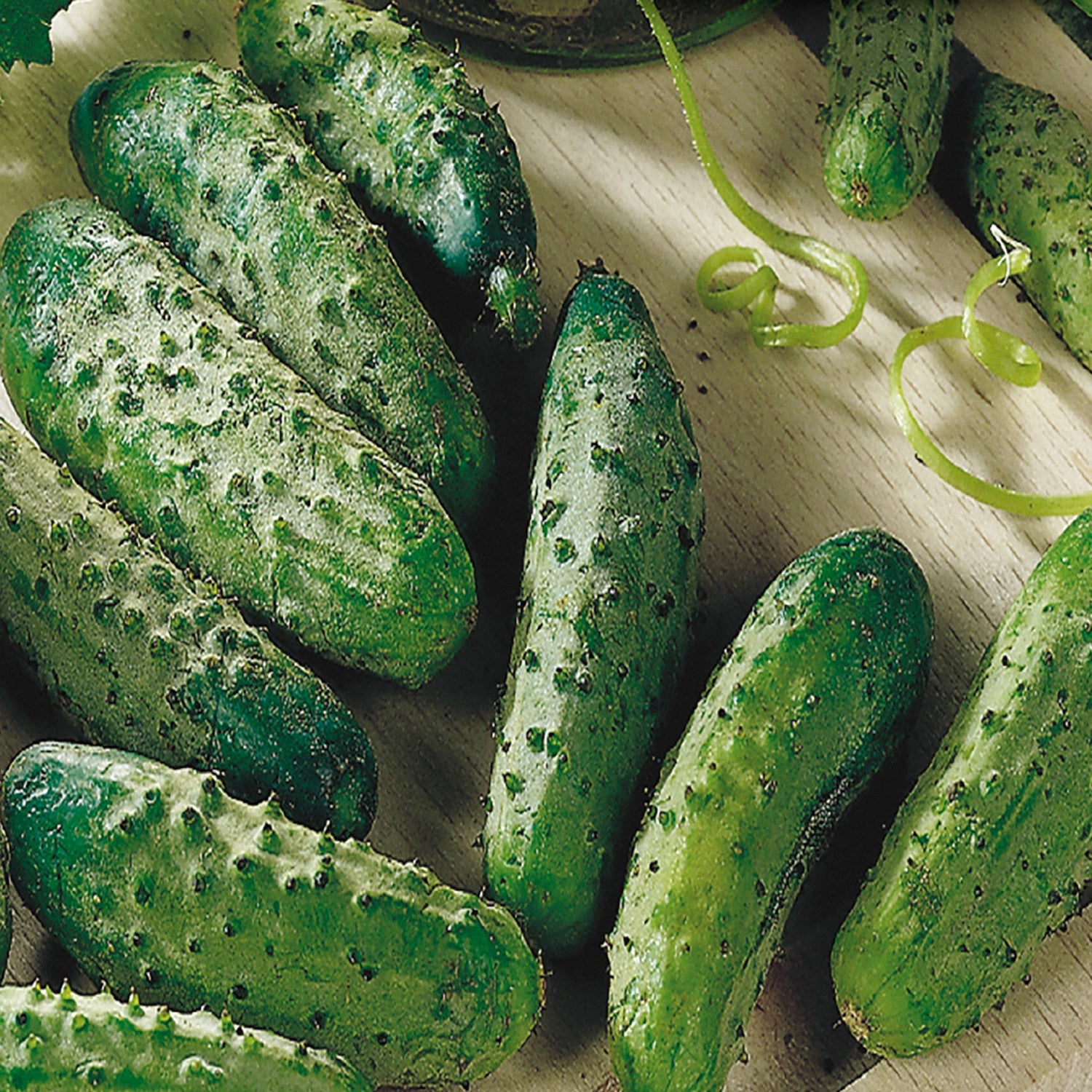 National Pickling Cucumber - Organic