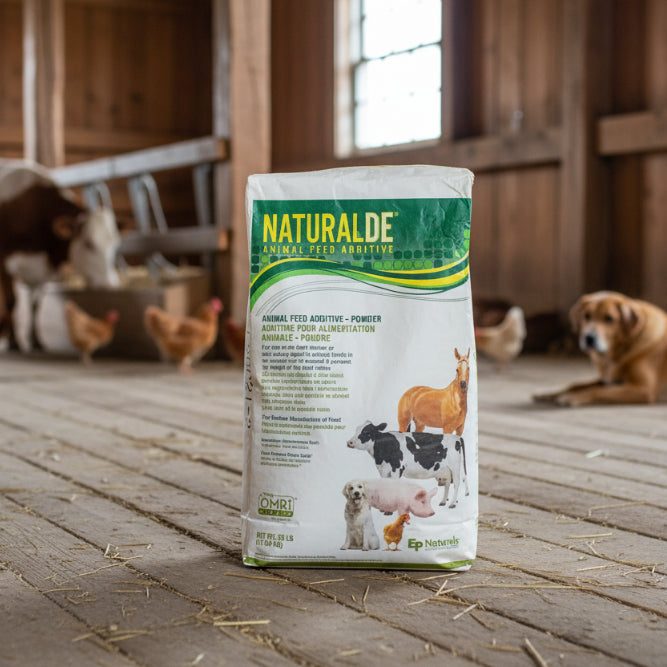 un sac de terre de diatomee dans une grange