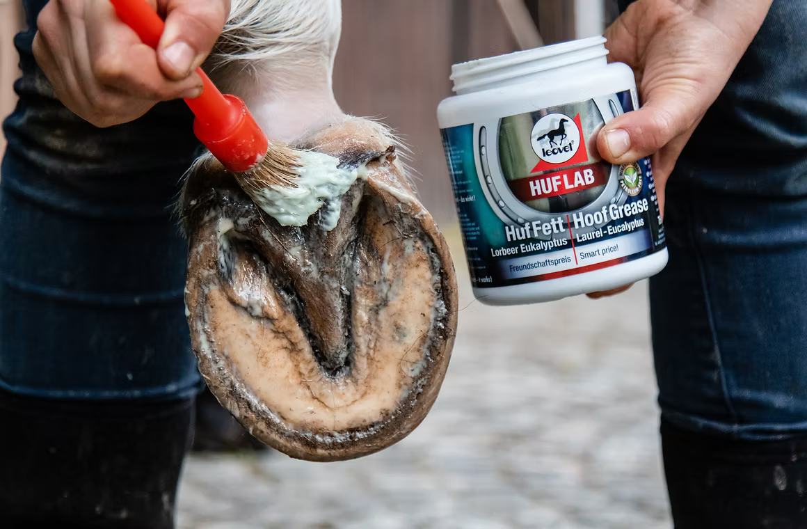 Hoof Grease, graisse pour sabots - Leovet