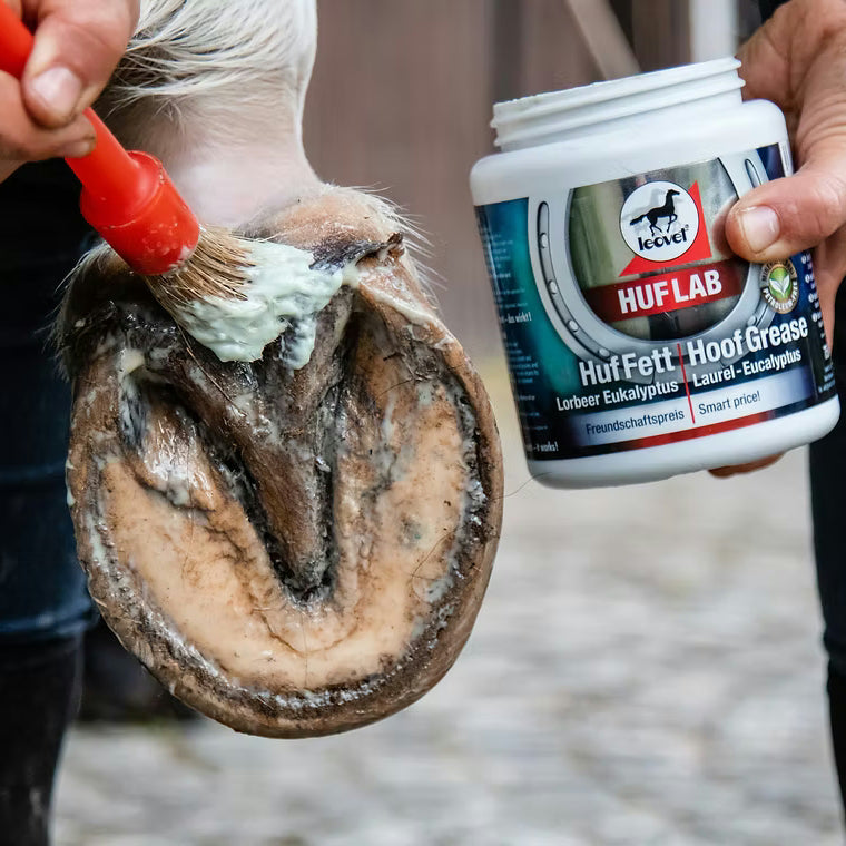 Hoof Grease, graisse pour sabots - Leovet