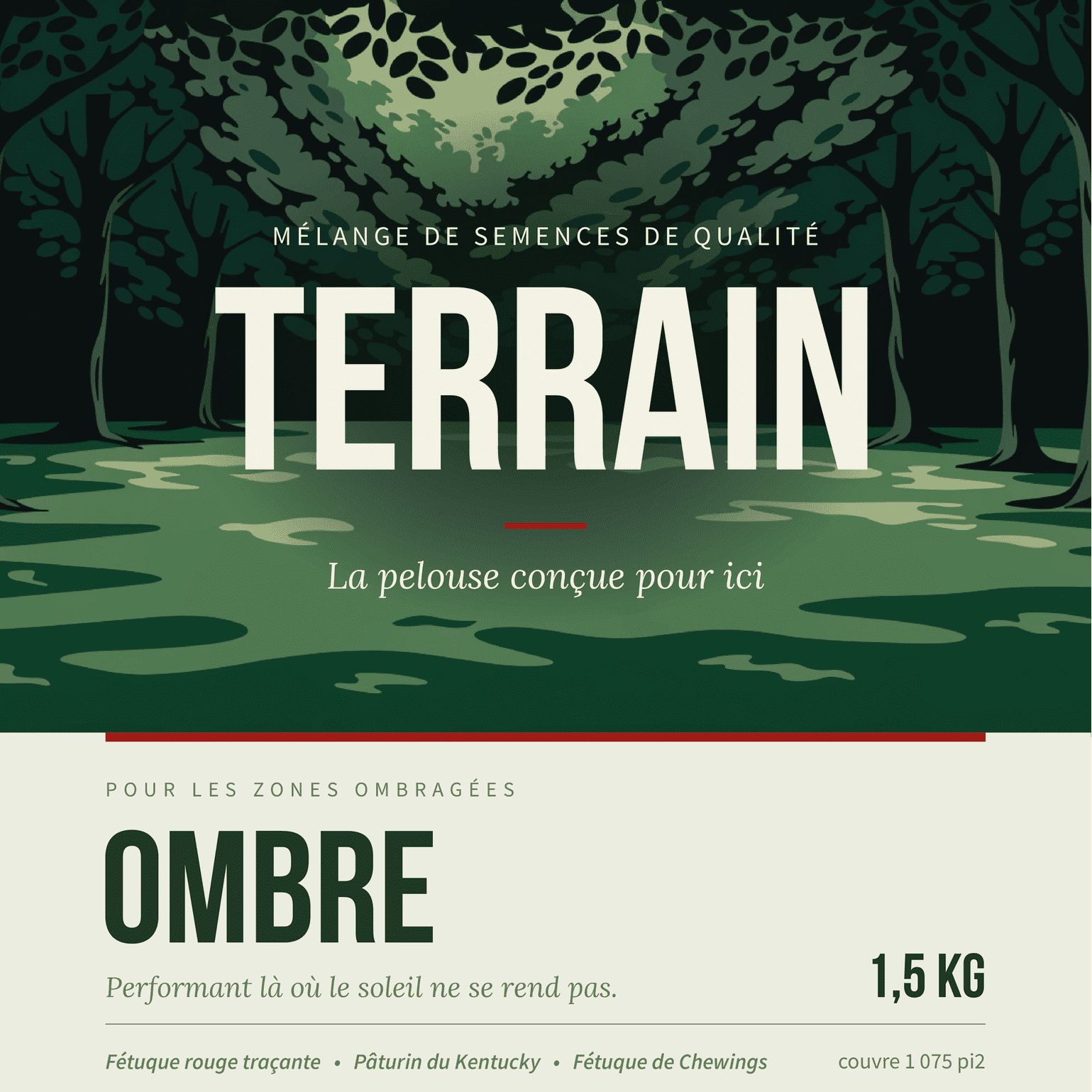 TERRAIN OMBRE — Semence à gazon mi-ombre