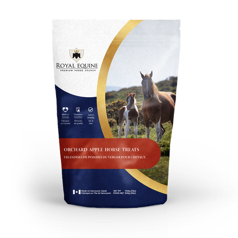 Friandises pour cheval à la pomme, 908g - Royal Equine