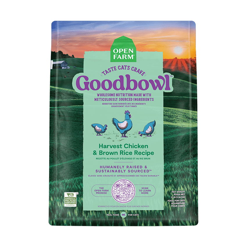 GoodBowl™ - recette au poulet et de riz brun pour chats