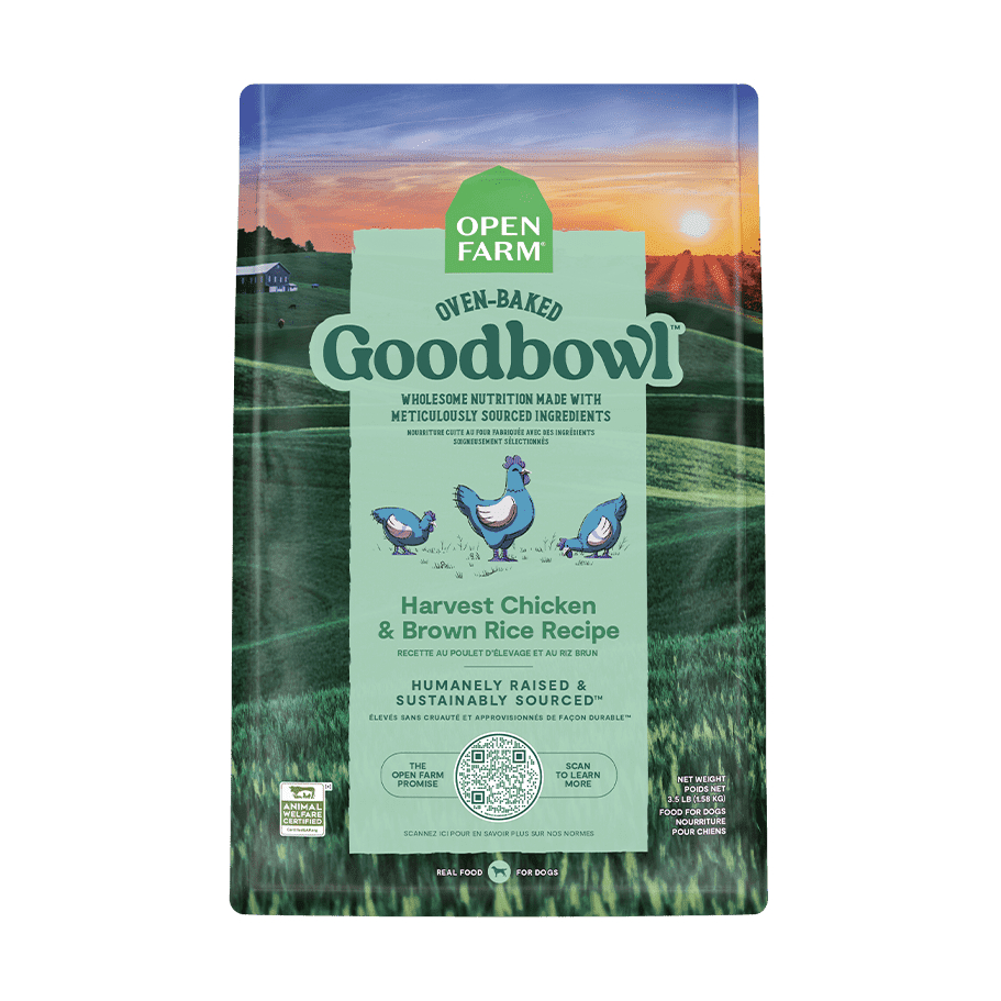 GoodBowl™ - recette au poulet et de riz brun pour chiens