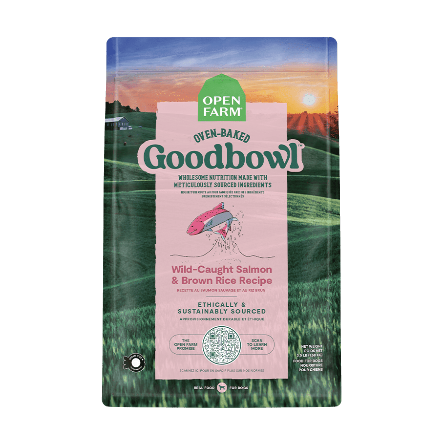 GoodBowl™ - recette au saumon sauvage et de riz brun pour chiens