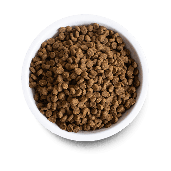 Open Farm Catch-of-the-Season Whitefish Dry Cat Food