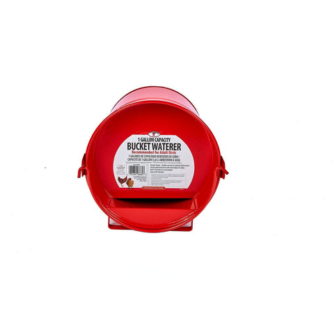 Abreuvoir en seau galvanisé peint de 1 gallon pour volaille - Little Giant