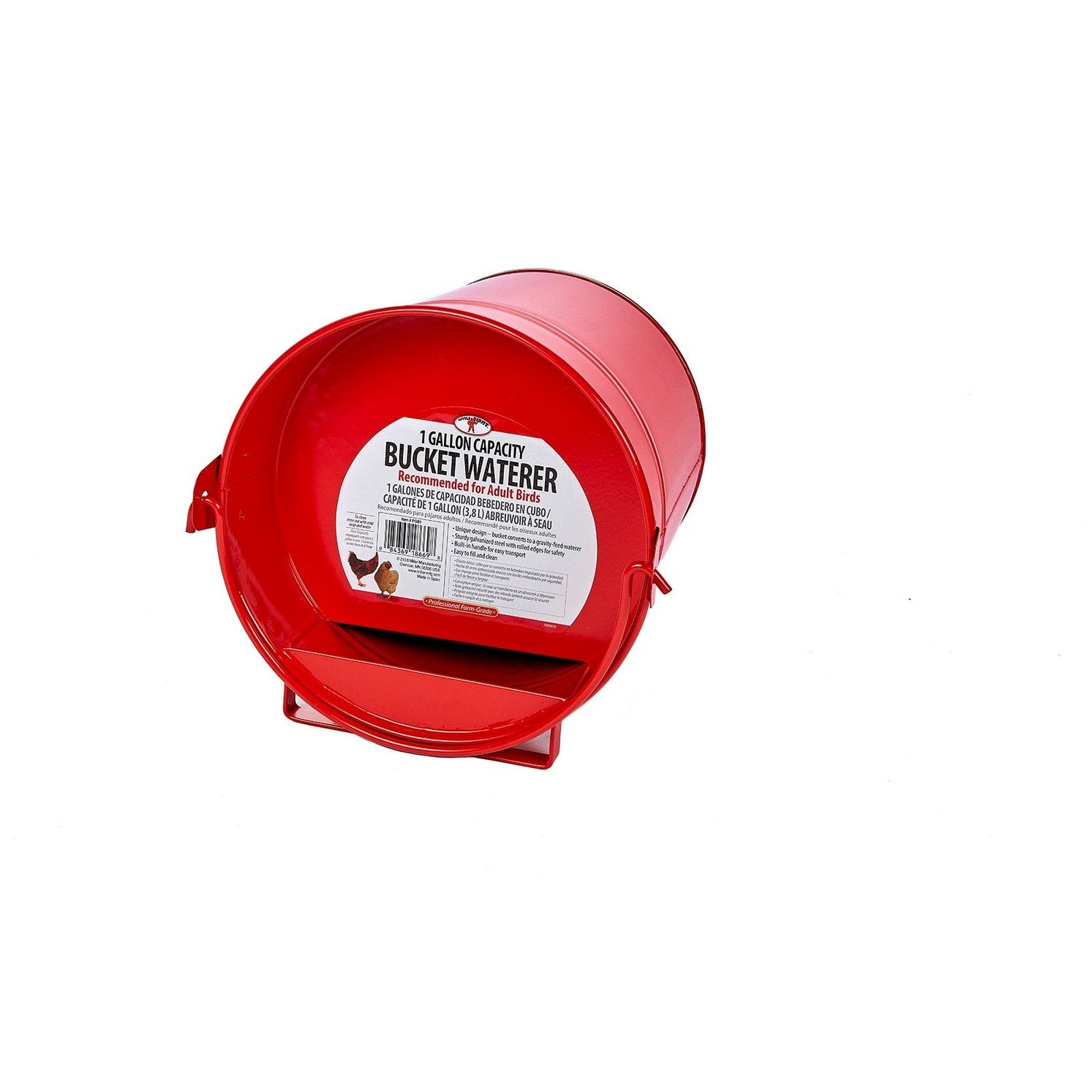 Little Giant - 1 Gallon Painted Galvanized Bucket Waterer for Poultry